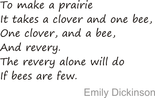 a prairie and a bee
