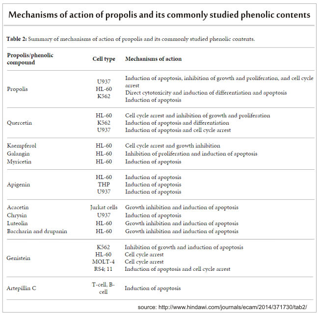 how do phenolic contents action 