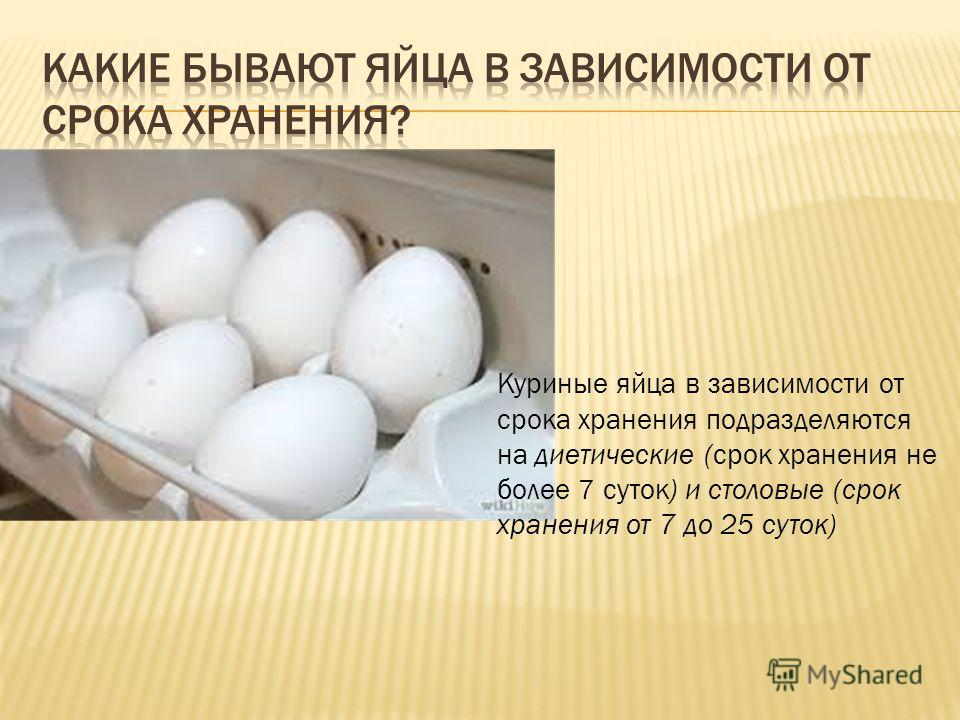 Сколько хранятся куриные яйца без холодильника. Срок хранения столовых яиц. Срок хранения куриных яиц. Сроки хранения яиц и яичных продуктов. Условия хранения яиц куриных.