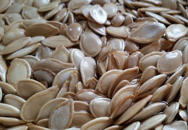 Pumpkin seeds are untreated