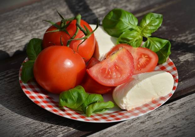 Tomatoes, greens and cheese on a saucer