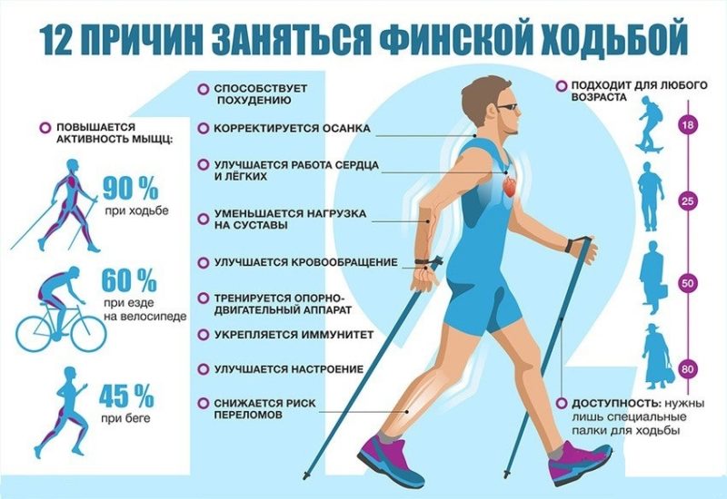 скандинавская ходьба польза