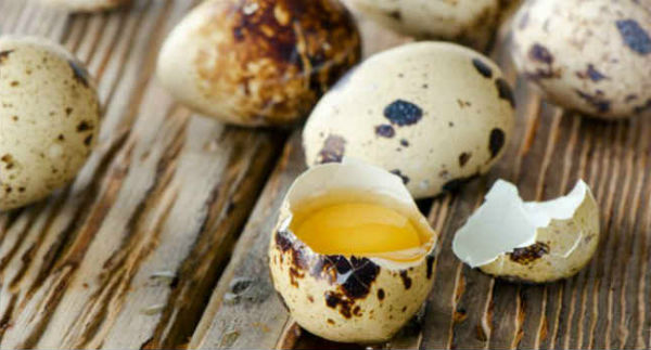 Перепелиные яйца, польза и вред для женщин, мужчин, детей