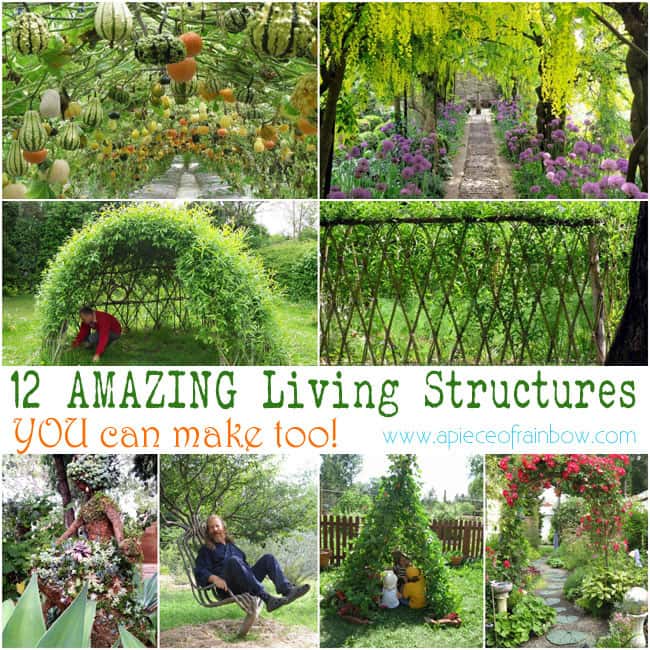 Amazing Living Structures 