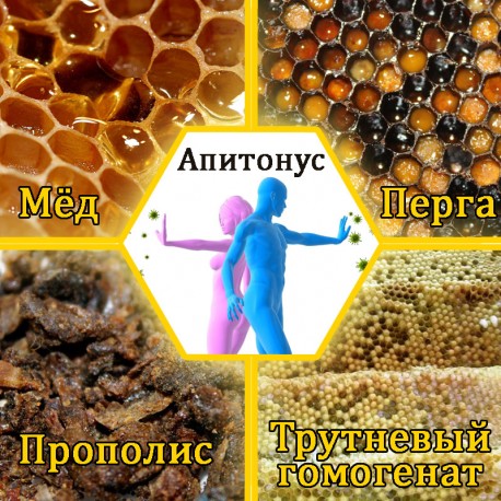 Апитонус. Мёд с пергой, гомогенатом и прополисом