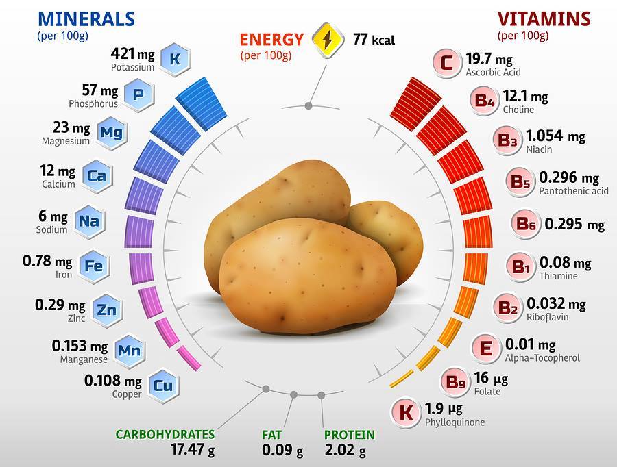 Чем полезна печеная картошка для организма человека