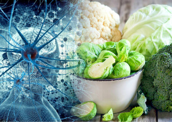 ТОП-16 лучших продуктов питания для мозга или улучшаем умственные способности с помощью пищи