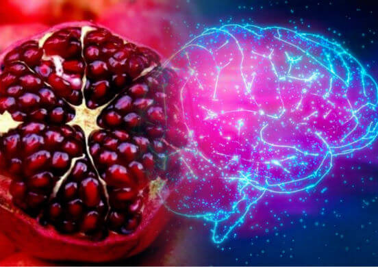 ТОП-16 лучших продуктов питания для мозга или улучшаем умственные способности с помощью пищи