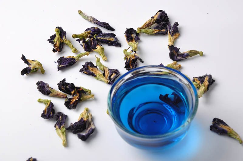 Синий чай из Таиланда – полезные свойства