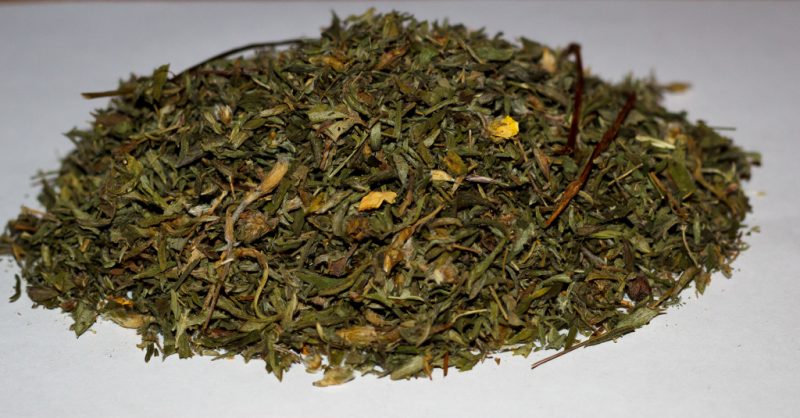 Курильский чай: полезные лечебные свойства и противопоказания