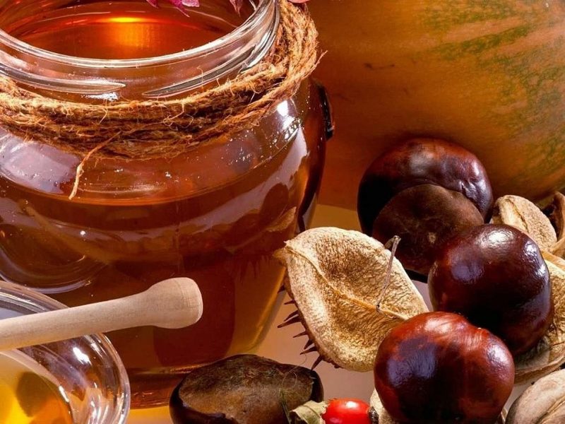 Каштановый мед: полезные свойства и противопоказания, как определить подделку
