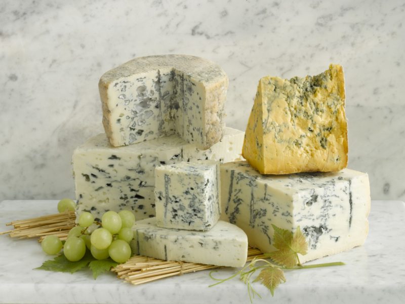 Сыр с плесенью: названия видов и сортов, чем полезен, как правильно есть