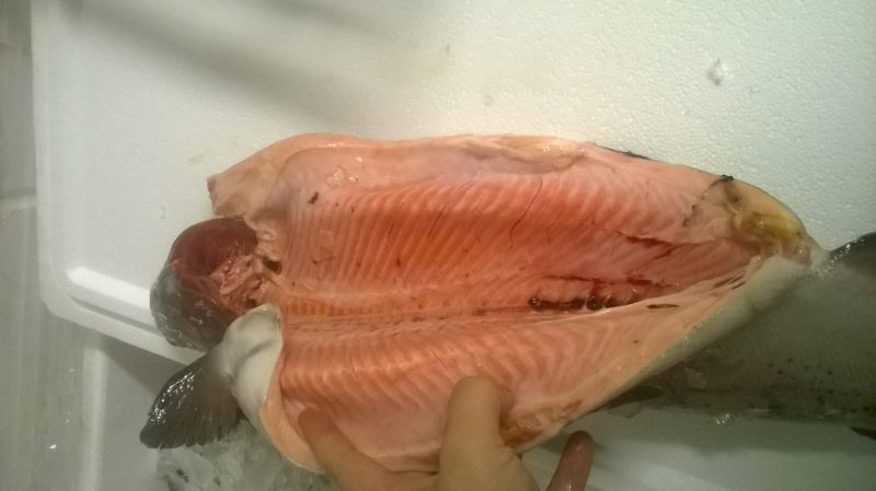 Рыба зубатка – что это за рыба? Польза и вред, как вкусно приготовить зубатку – 4 рецепта