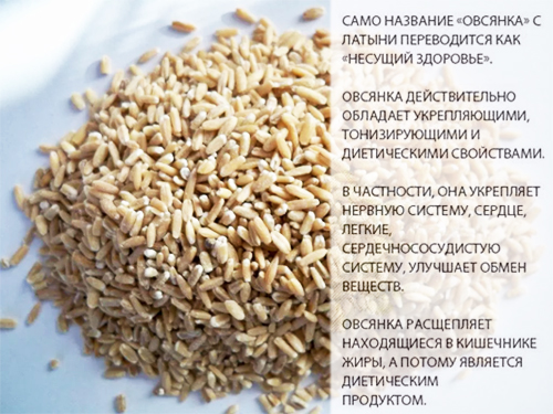 Состав и полезные свойства овсяной крупы