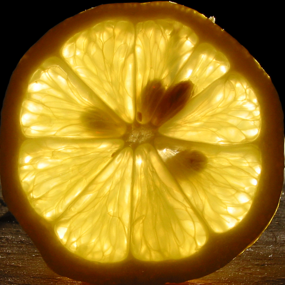 Backlit_lemon_slice_with_seeds