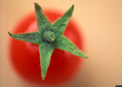 помидоры профилактика рака