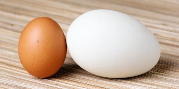Сколько варить гусиные яйца