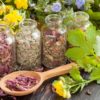 Травы для поджелудочной железы — лучшие рецепты народной медицины