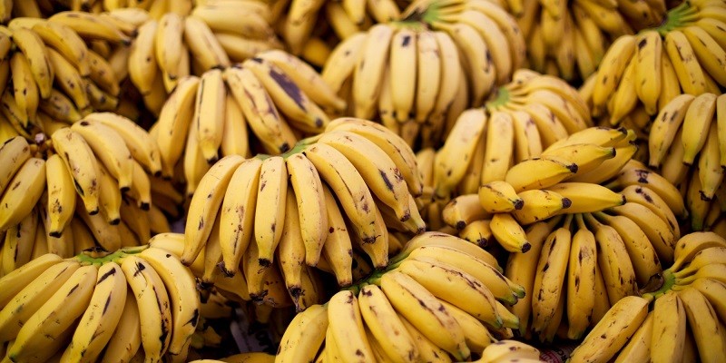 Употребление банана влияет на позитивное пищеварение