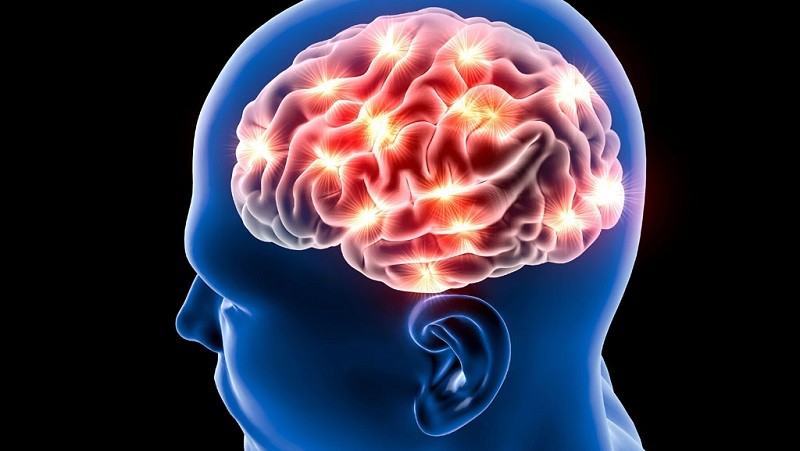 Улучшение памяти и работы мозга