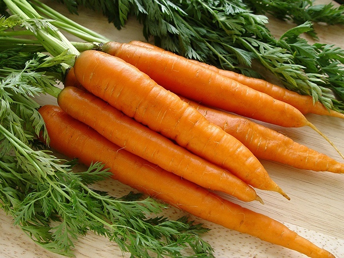Полезные свойства и противопоказания морковки