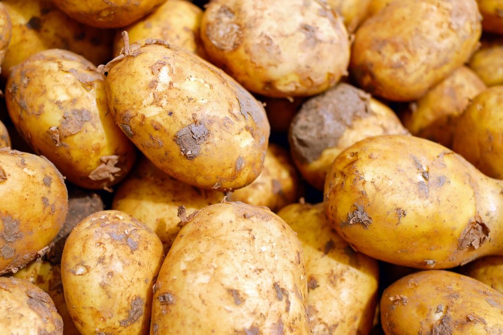 Вред картофеля для здоровья
