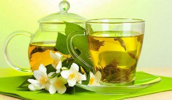 Польза и вред зеленого чая для организма человека