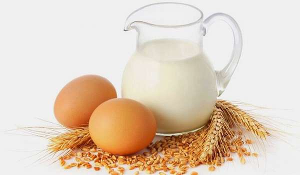Молоко и яйца - источники витамина В12