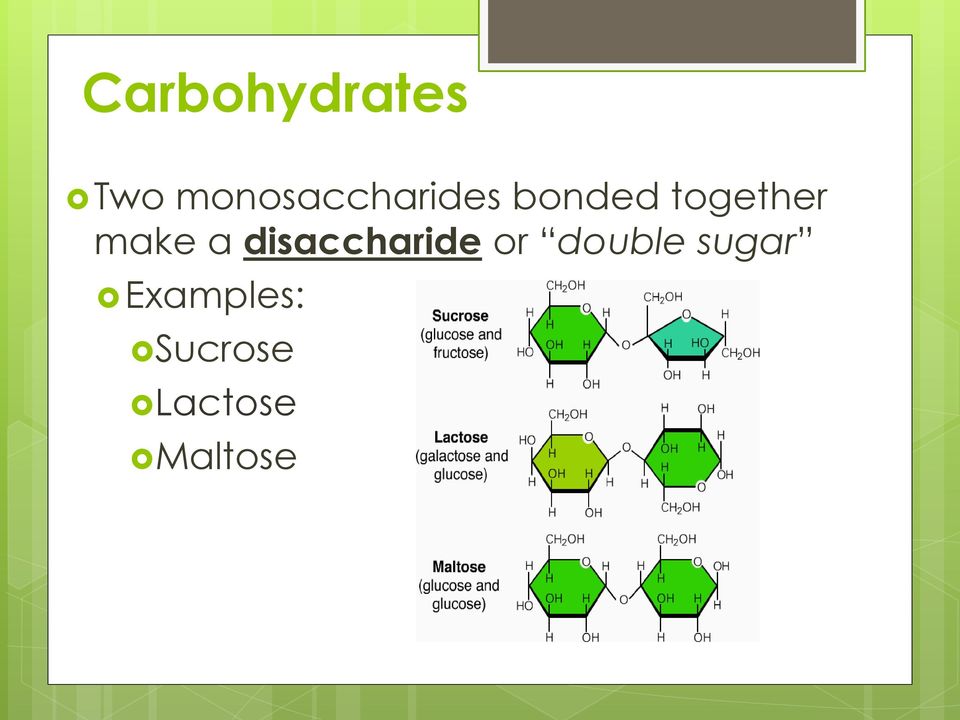 together make a disaccharide