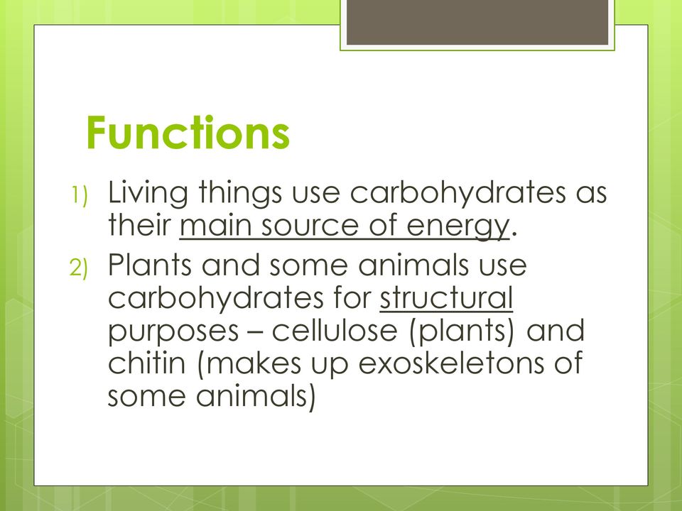 2) Plants and some animals use carbohydrates for