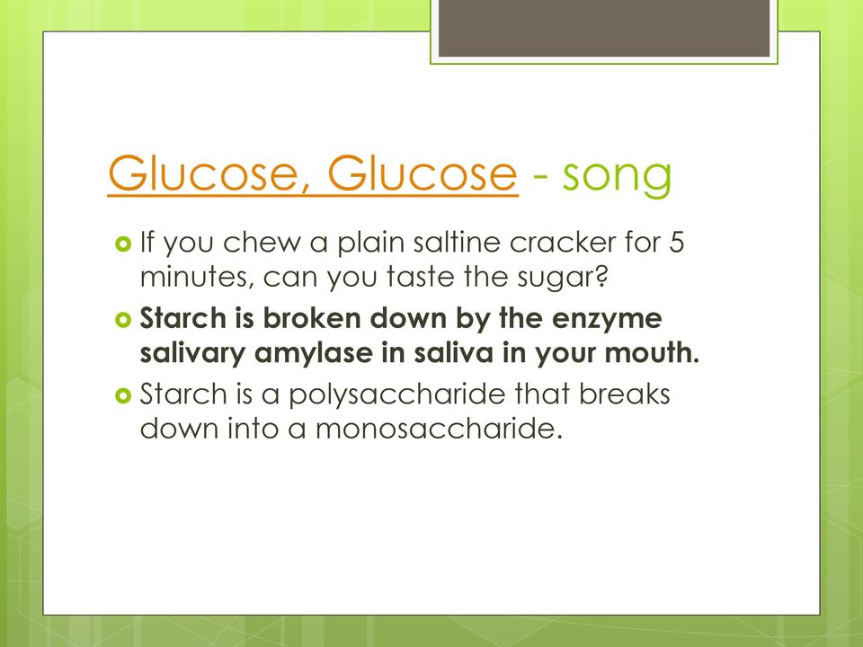 Starch is broken down by the enzyme salivary amylase in