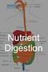 Topic 4: Digestion and Nutrition