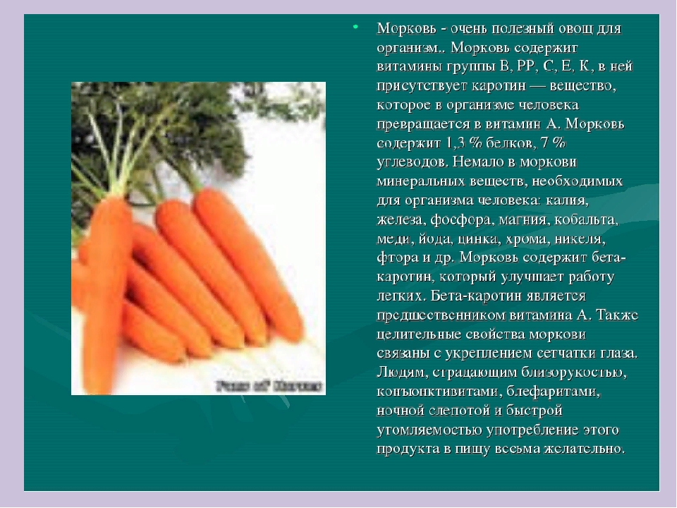 Сколько потребуется морковок. Информация о морковке. Доклад про морковь. Культурное растение морковь. Проект на тему морковь.