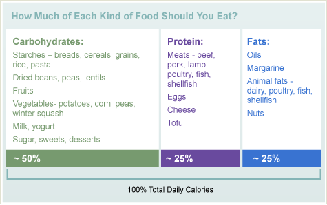 How much of Each Kind of Food Should You Eat - Chart