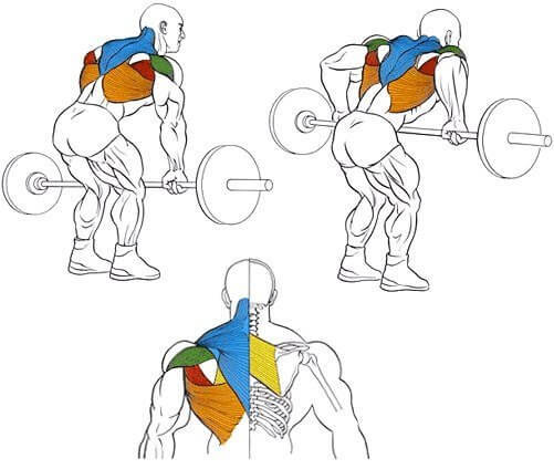 Золотая побдборка упражнений для мышц спины