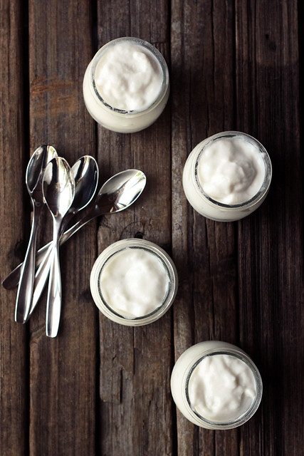 How-to Make Coconut Milk Yogurt