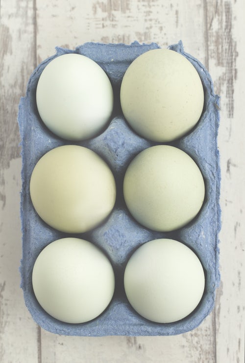 какие яйца выгоднее покупать с0 с1 или с2