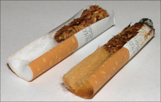 из чего состоят современные сигареты