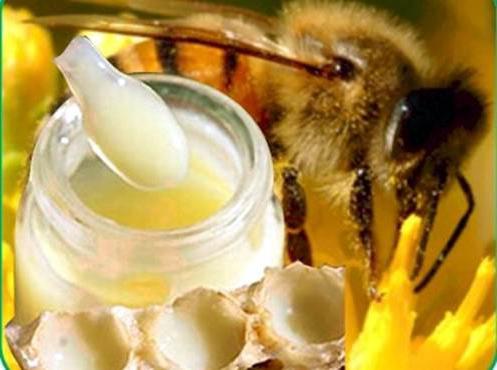 Мед с маточным молочком, полезные свойства 
