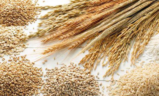 виды круп из пшеницы 
