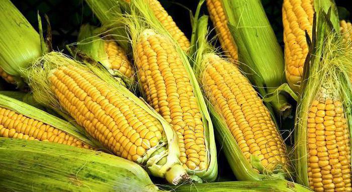 какие полезные витамины в кукурузе