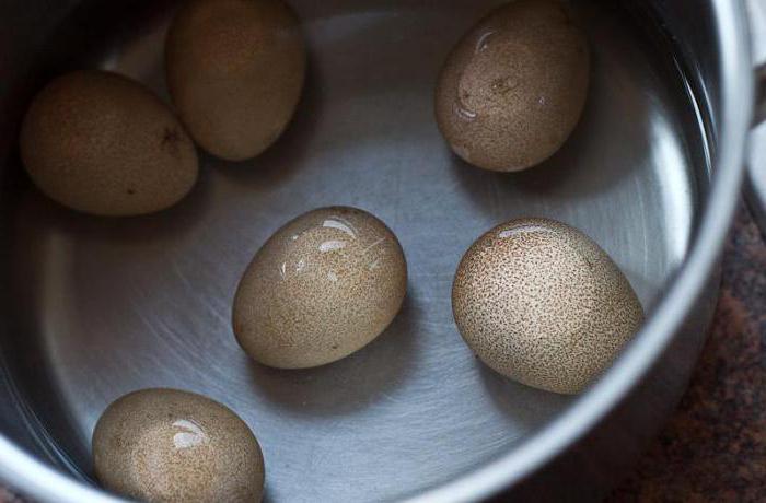 яйца цесарки польза и применение