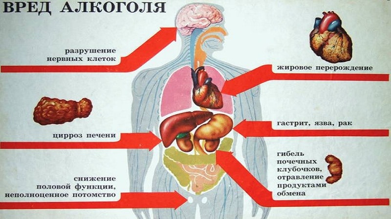 особенности вреда алкоголя для человека