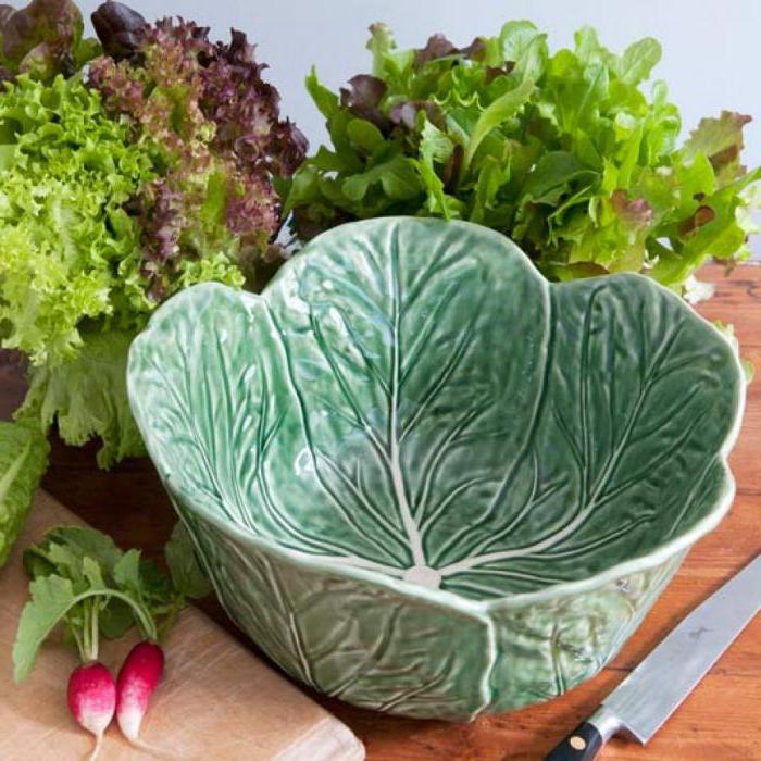 листья салата польза и вред полезные свойства