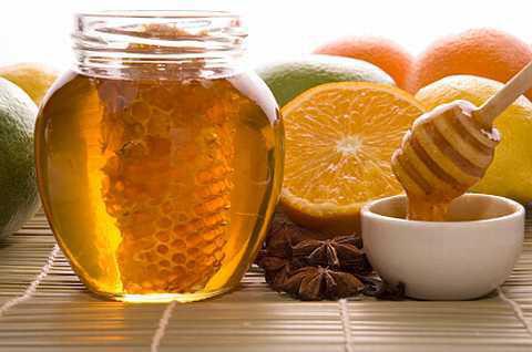 донниковый мед состав полезные свойства