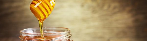 Мед таежный алтайский полезные свойства