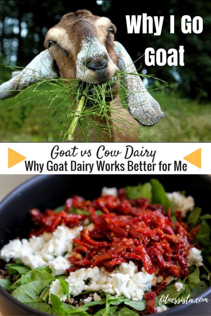 Goat Dairy vs Cow Dairy