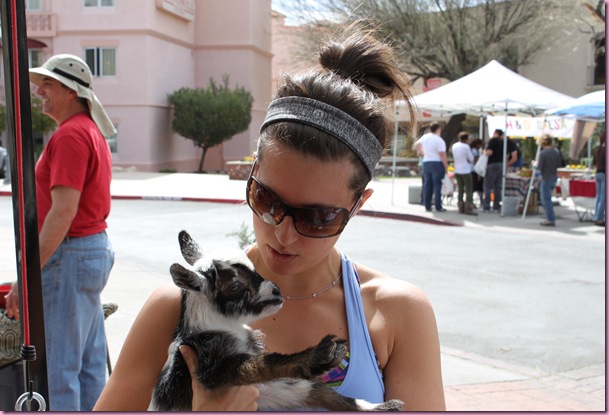 holding a baby goat