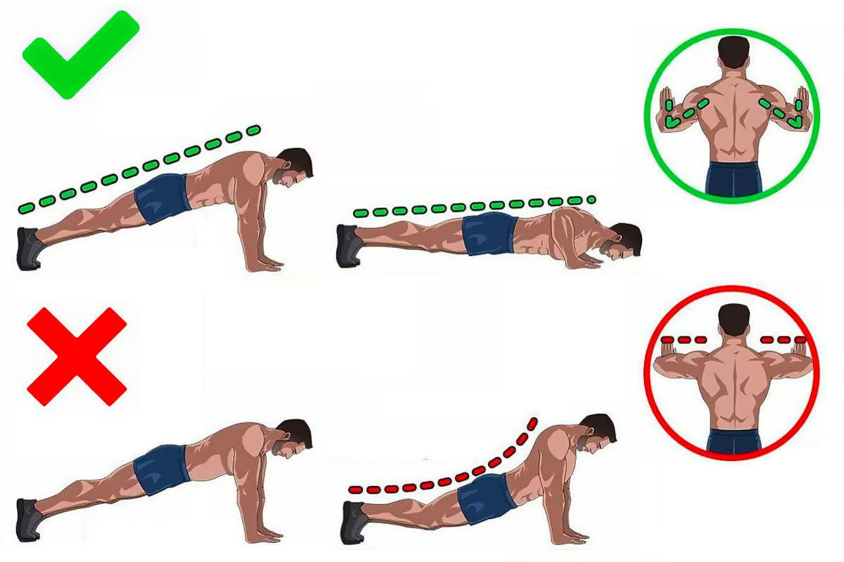 Как правильно отжиматься