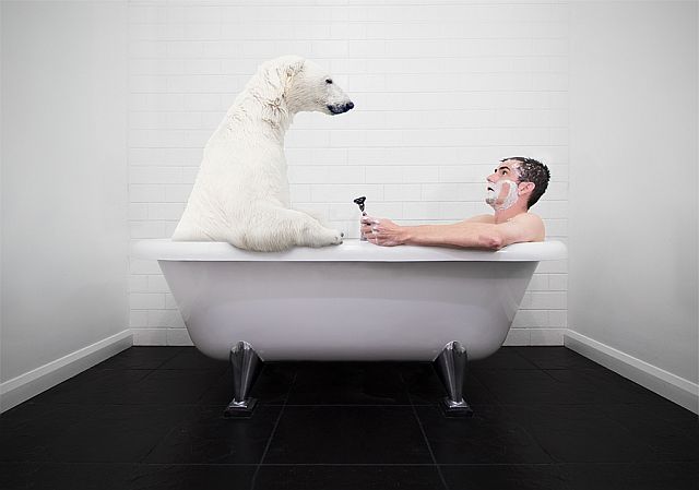 Как правильно закаливаться - ванная с медведем
